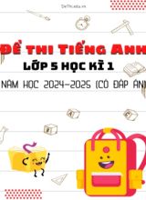 Bộ 23 Đề thi tiếng Anh Lớp 5 học kì 1 năm học 2024-2025 (Có đáp án)